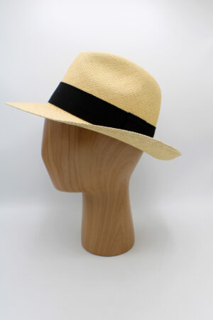 Alternative view of Panama - 201602