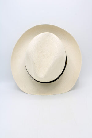 Alternative view of Panama - 201701